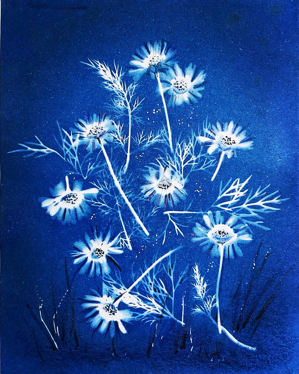 Exploring Cyanotype - image 3 - student project