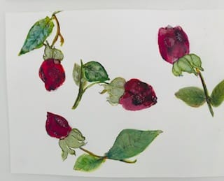 Nature Walk - image 6 - student project