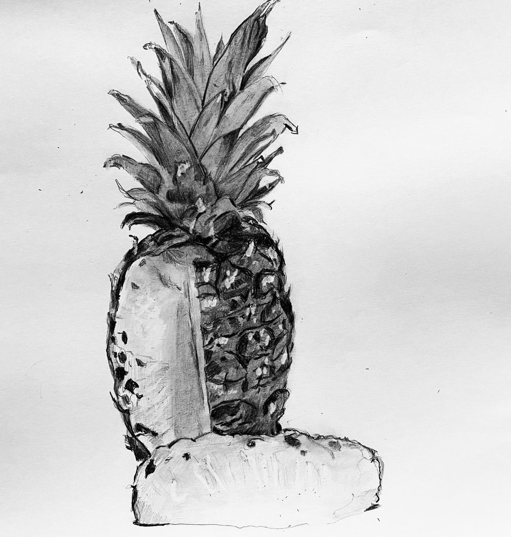 Observation - image 1 - student project