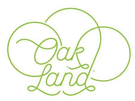 Oakland - the sunny side of the Bay Area - image 3 - student project