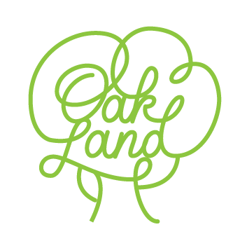 Oakland - the sunny side of the Bay Area - image 2 - student project