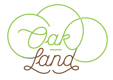 Oakland - the sunny side of the Bay Area - image 4 - student project