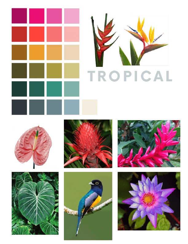 Tropical paradise - image 2 - student project