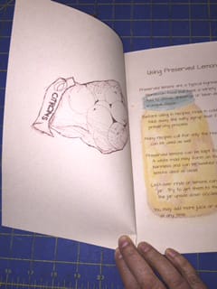 Preserved Lemons Cookbook - image 2 - student project