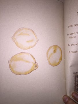 Preserved Lemons Cookbook - image 18 - student project