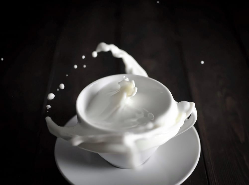 Milk! - image 1 - student project