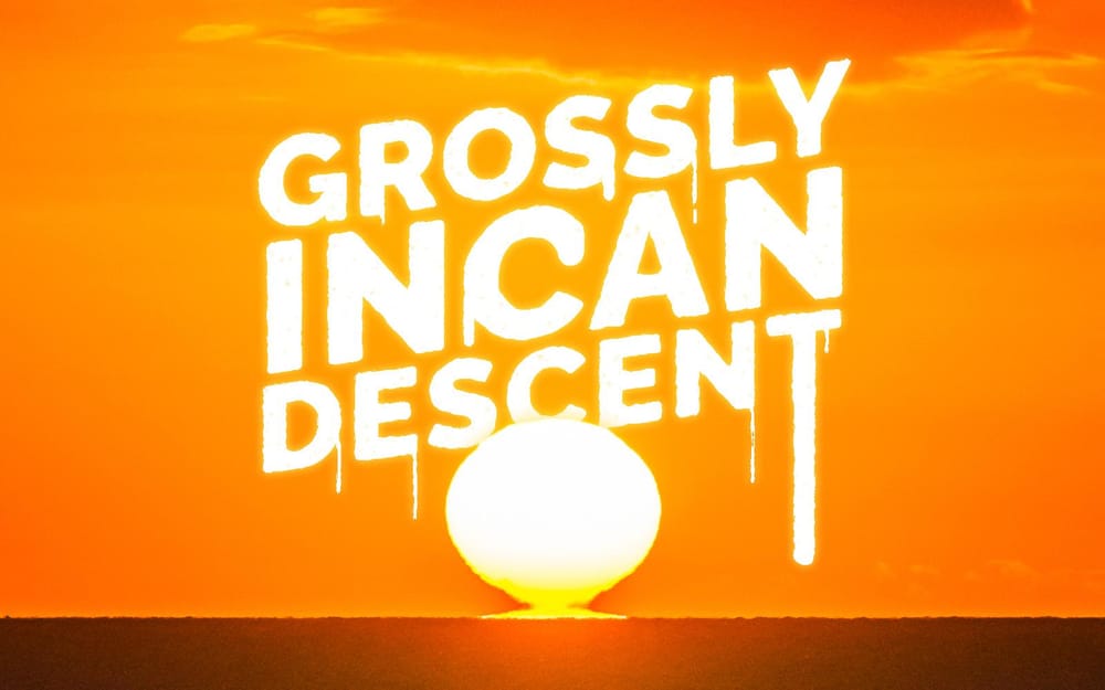 If Only I Could be so Grossly Incandescent - image 3 - student project
