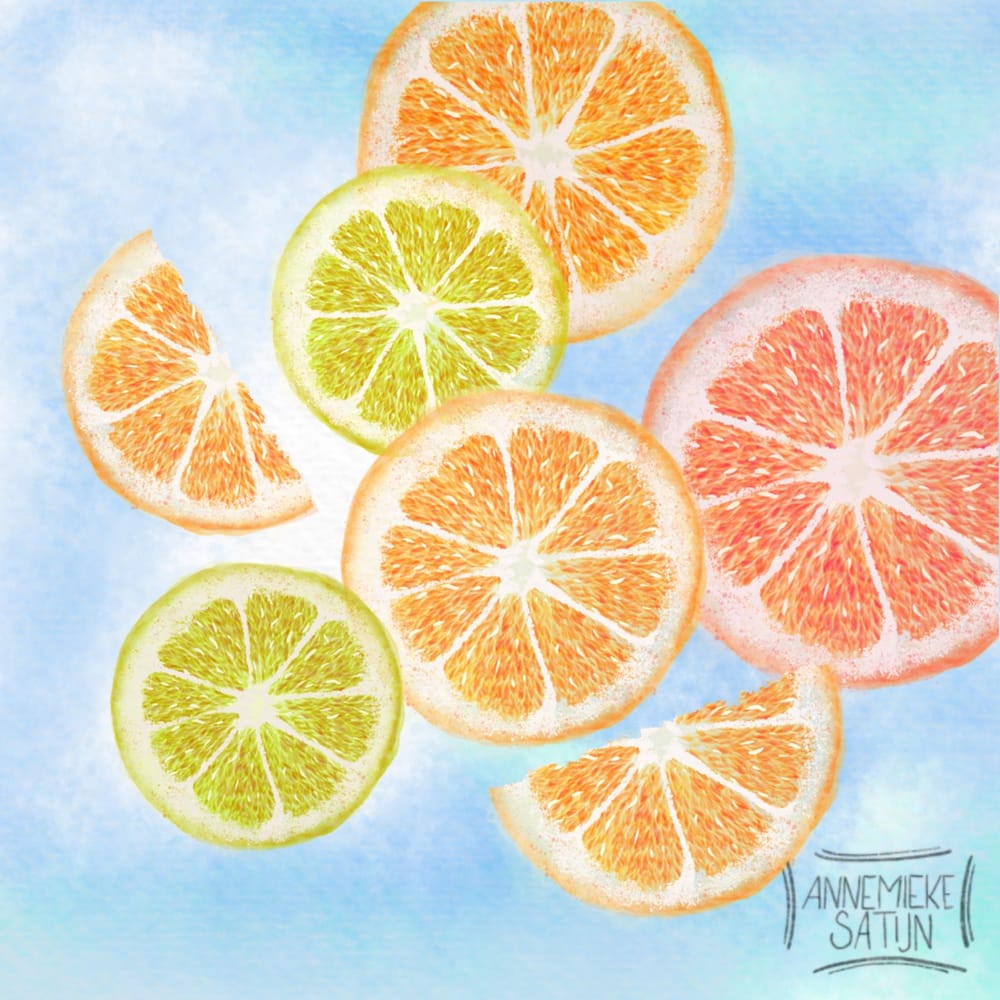 Watercolor citrus slices - image 1 - student project