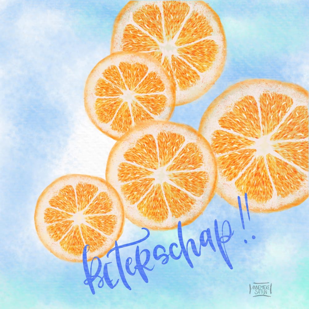 Watercolor citrus slices - image 2 - student project