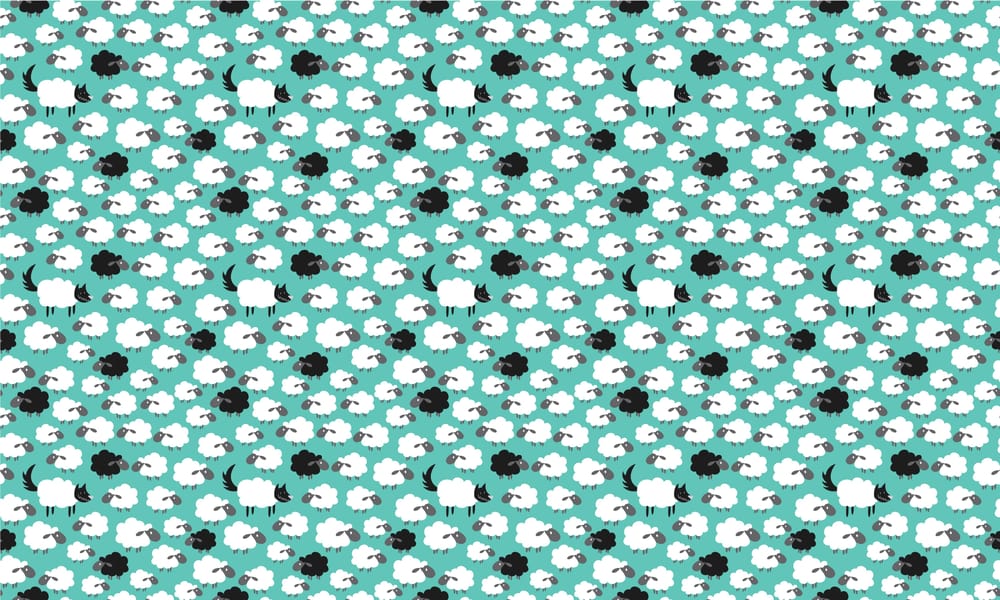 Sheep pattern -