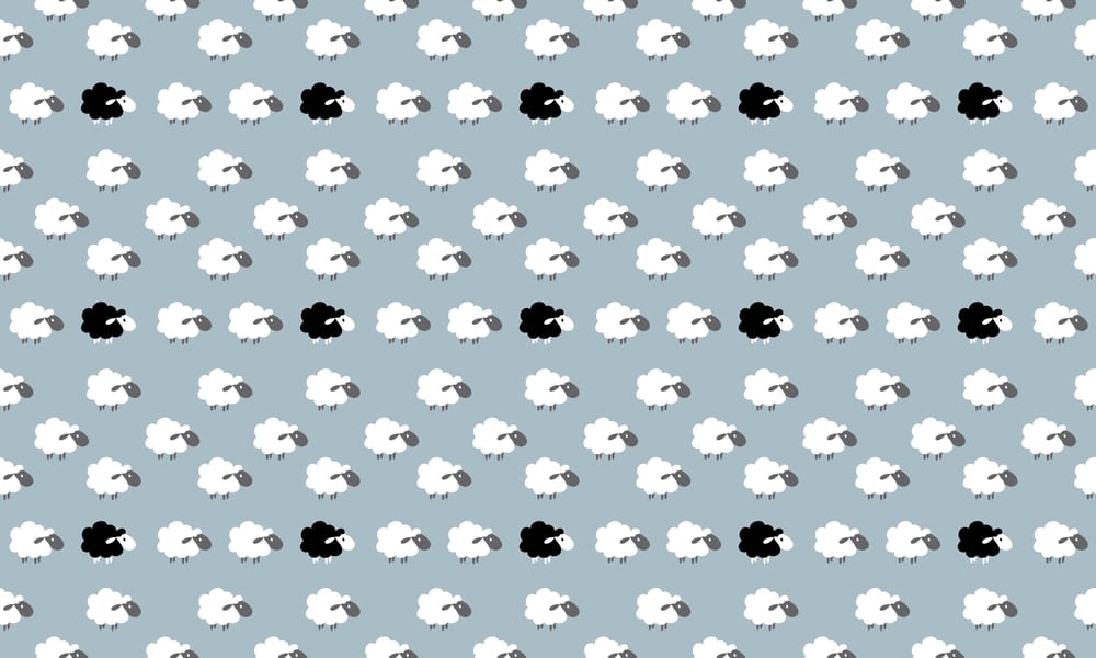 Sheep pattern -
