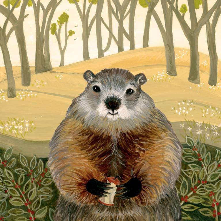 Friendly Woodchuck - image 6 - student project