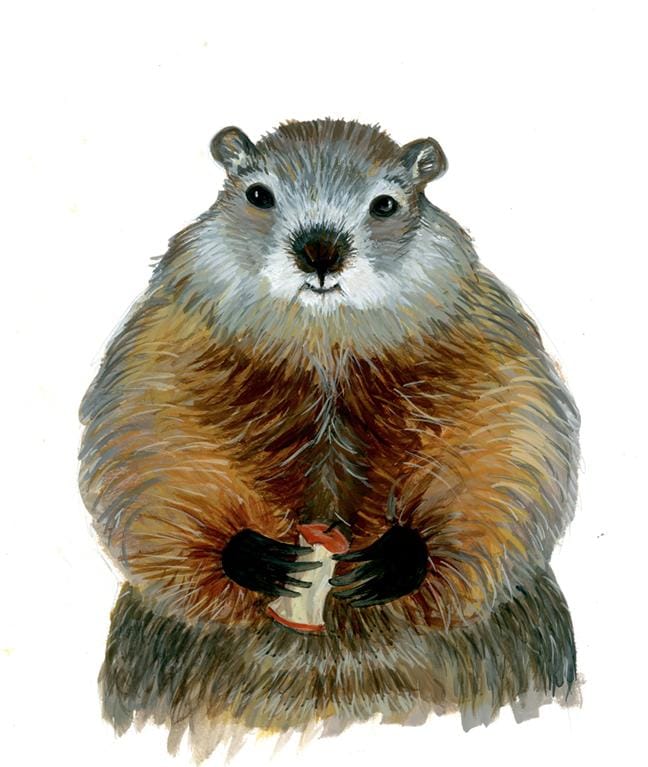 Friendly Woodchuck - image 3 - student project