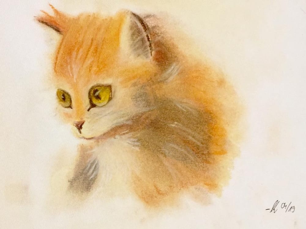 Ginger Kitty - image 1 - student project