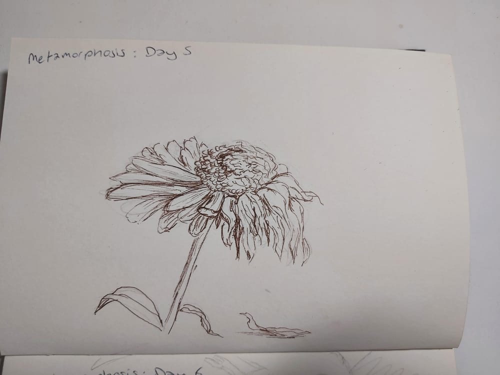 14 day challenge - image 5 - student project