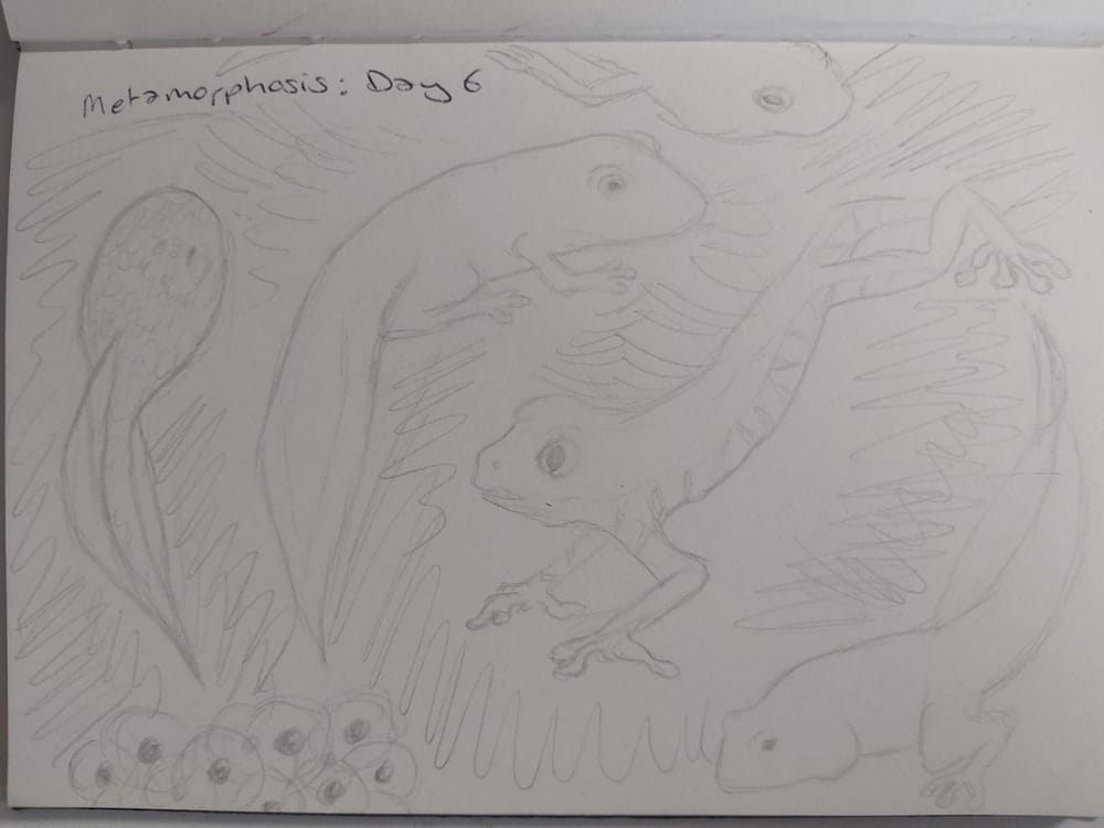 14 day challenge - image 6 - student project