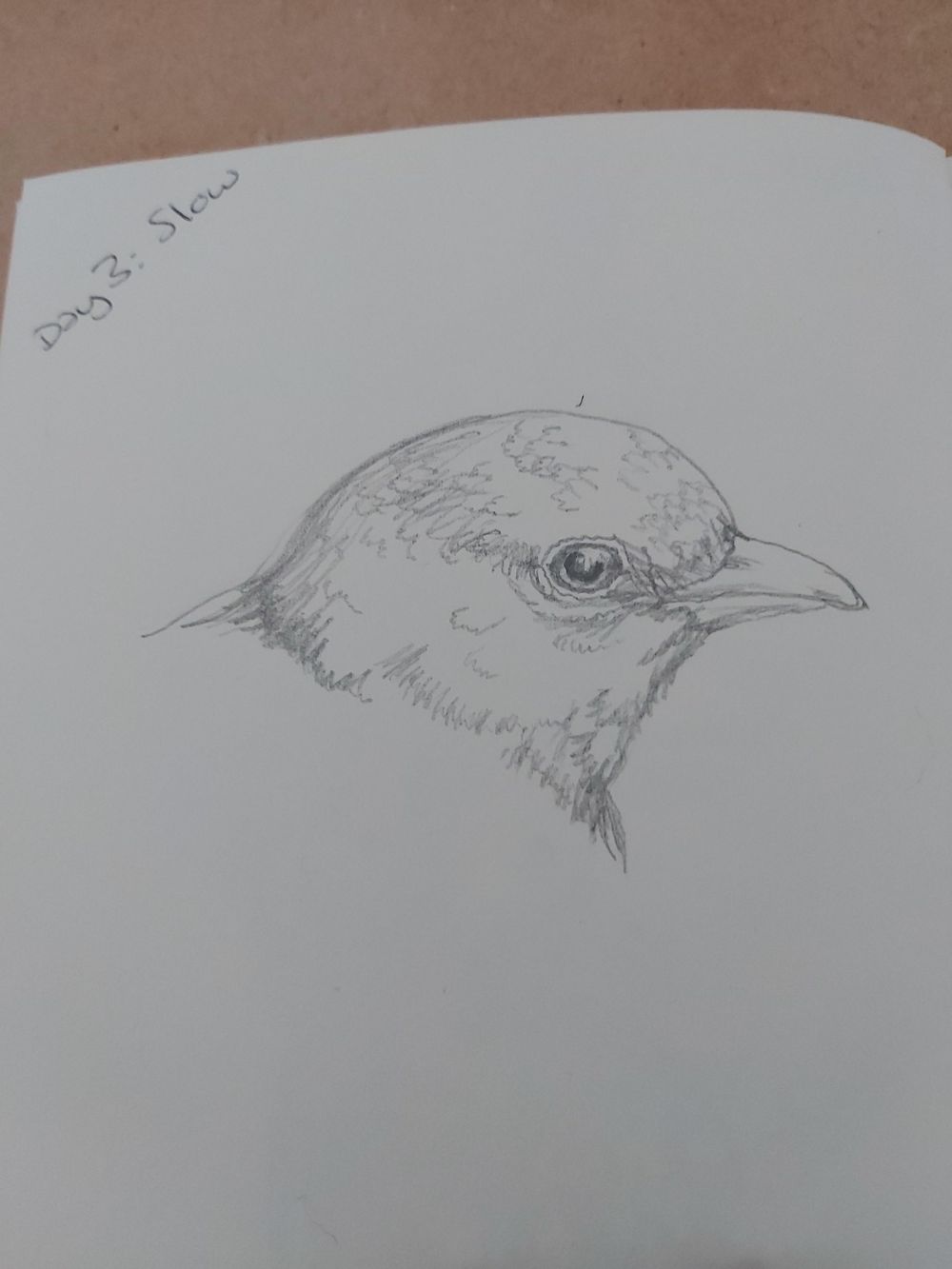 14 day challenge - image 3 - student project
