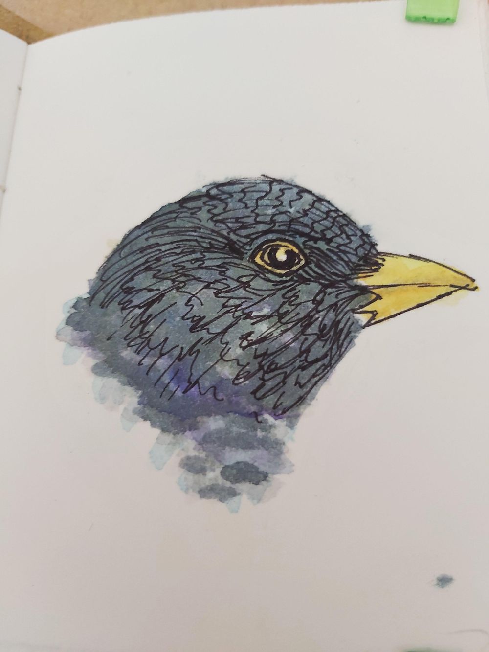 14 day challenge - image 12 - student project