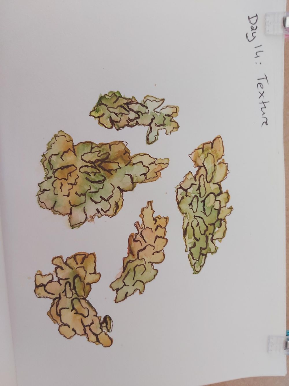 14 day challenge - image 13 - student project