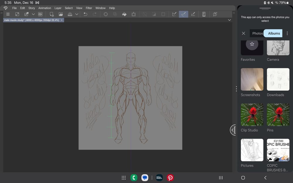 Male body study - image 1 - student project