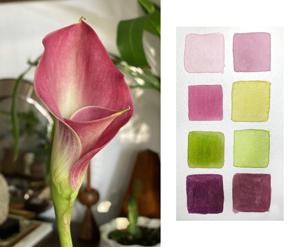 Watercolor Calla Lily - image 1 - student project