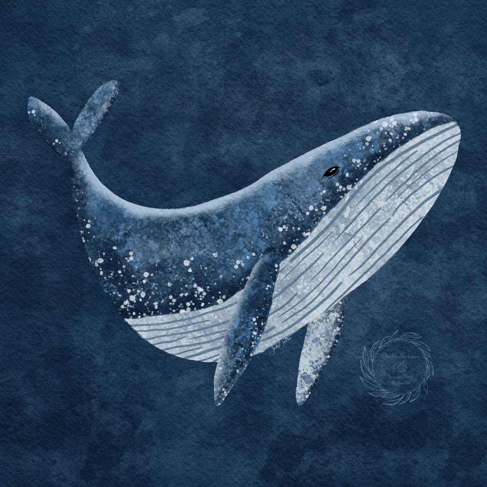 Dreamy Whale - image 1 - student project