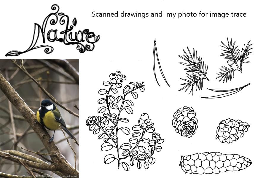 Winter Nature - image 1 - student project