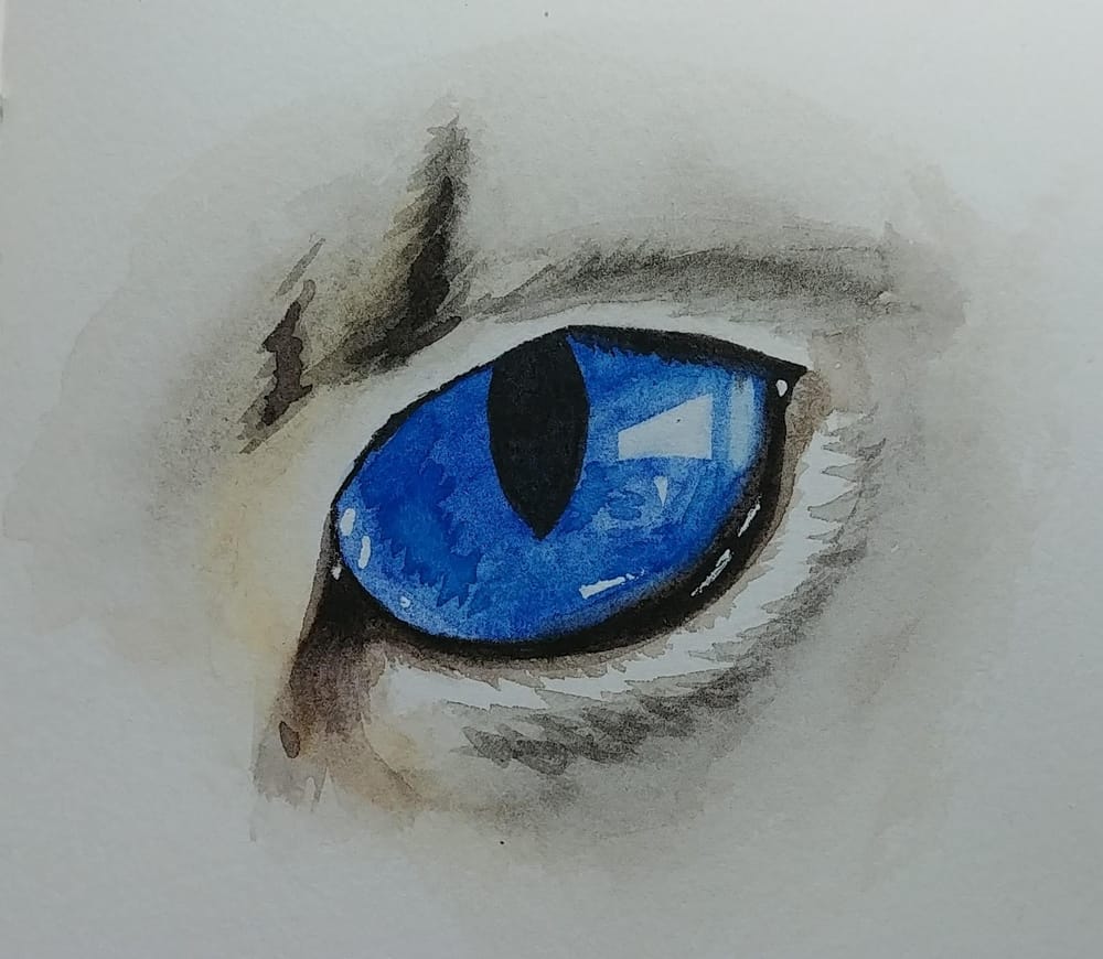 Lovely eyes - image 1 - student project