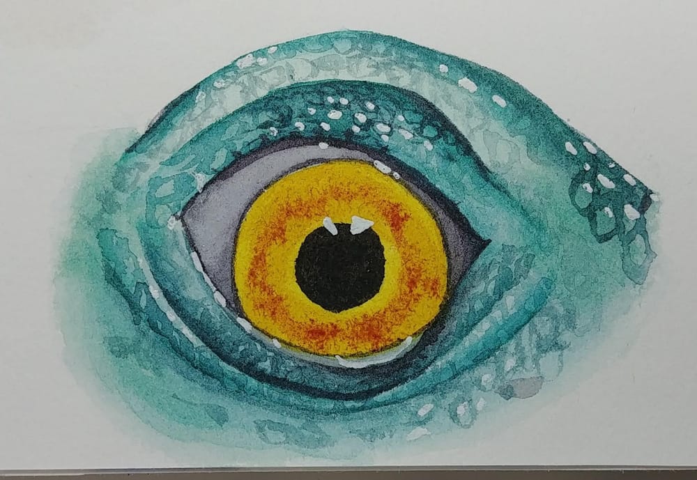 Lovely eyes - image 3 - student project