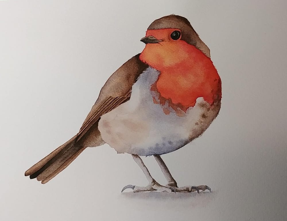 Little Robin - image 1 - student project