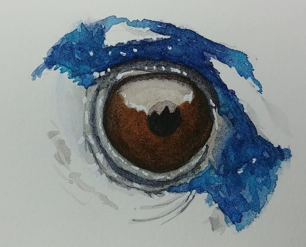 Lovely eyes - image 2 - student project