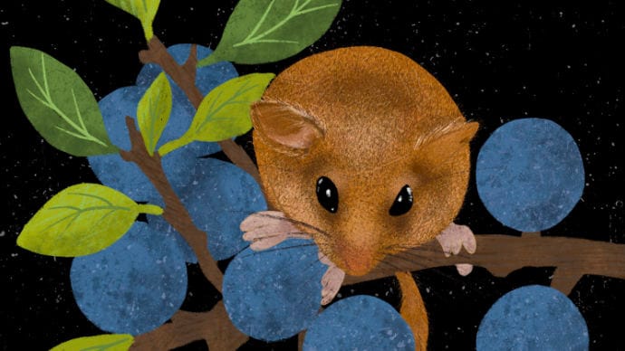 Blueberries & Tree Mouse | Skillshare Student Project