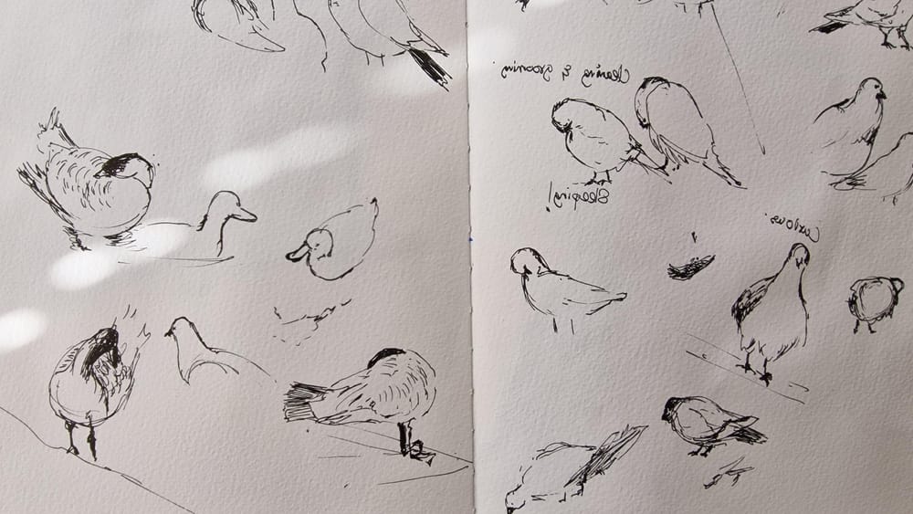 Sketching the things that inspire me. - image 5 - student project