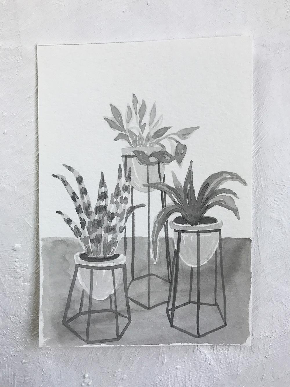 Birmingham Plant Stores - image 3 - student project