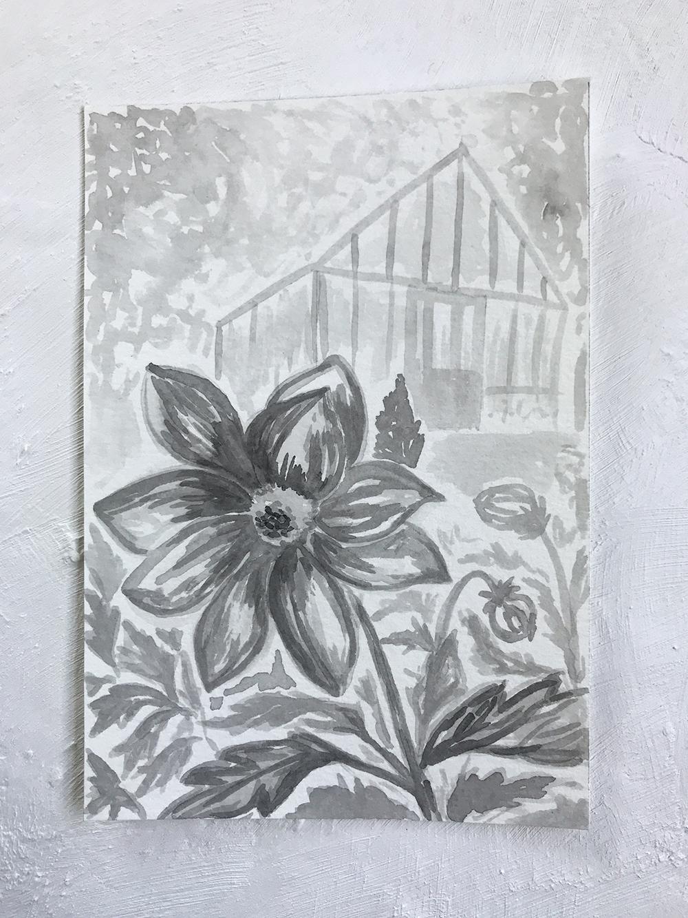 Birmingham Plant Stores - image 5 - student project