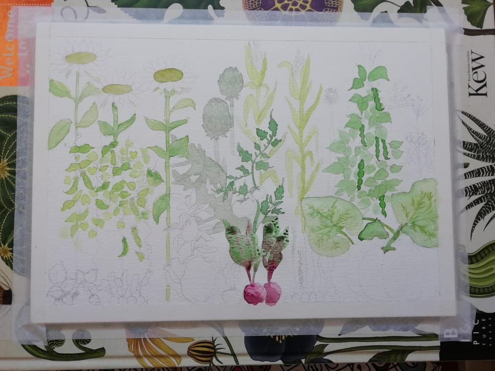 Vegetable Garden - image 2 - student project