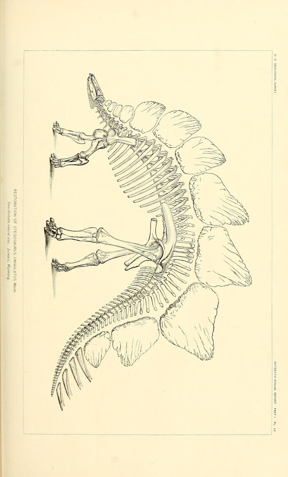 Prehistorical Dino Pattern - image 6 - student project