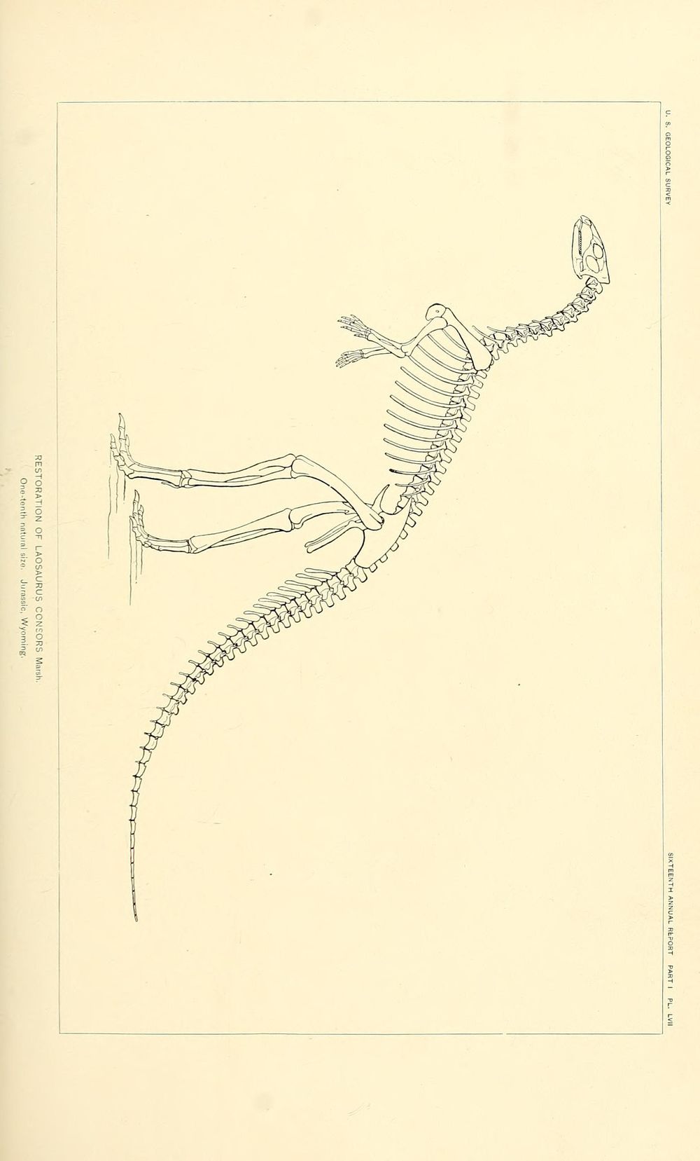 Prehistorical Dino Pattern - image 5 - student project