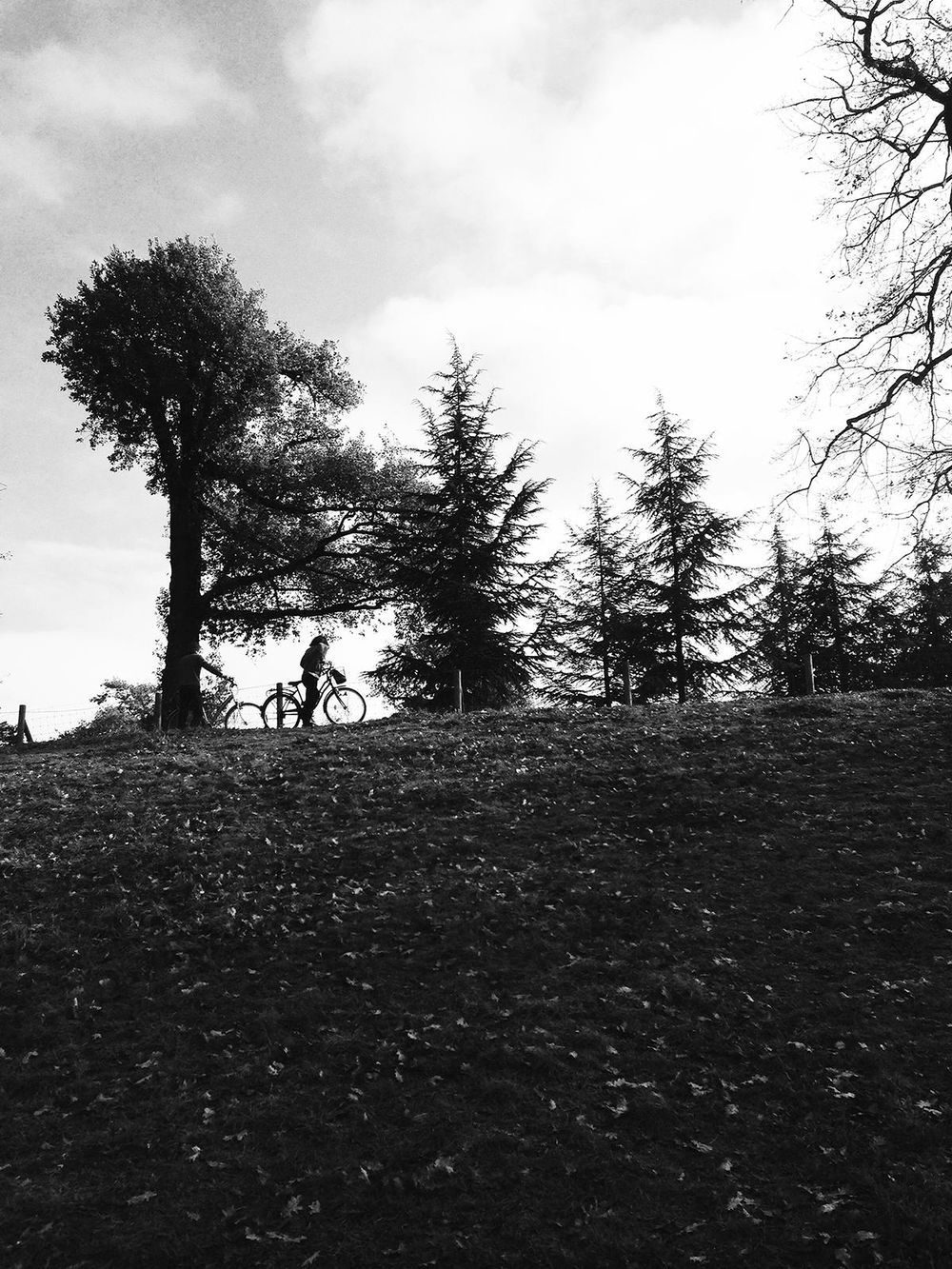 My 3-day project - image 3 - student project