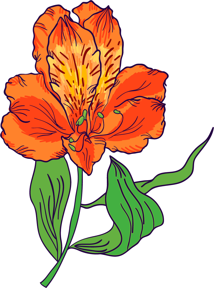 Astromelia flower - image 1 - student project