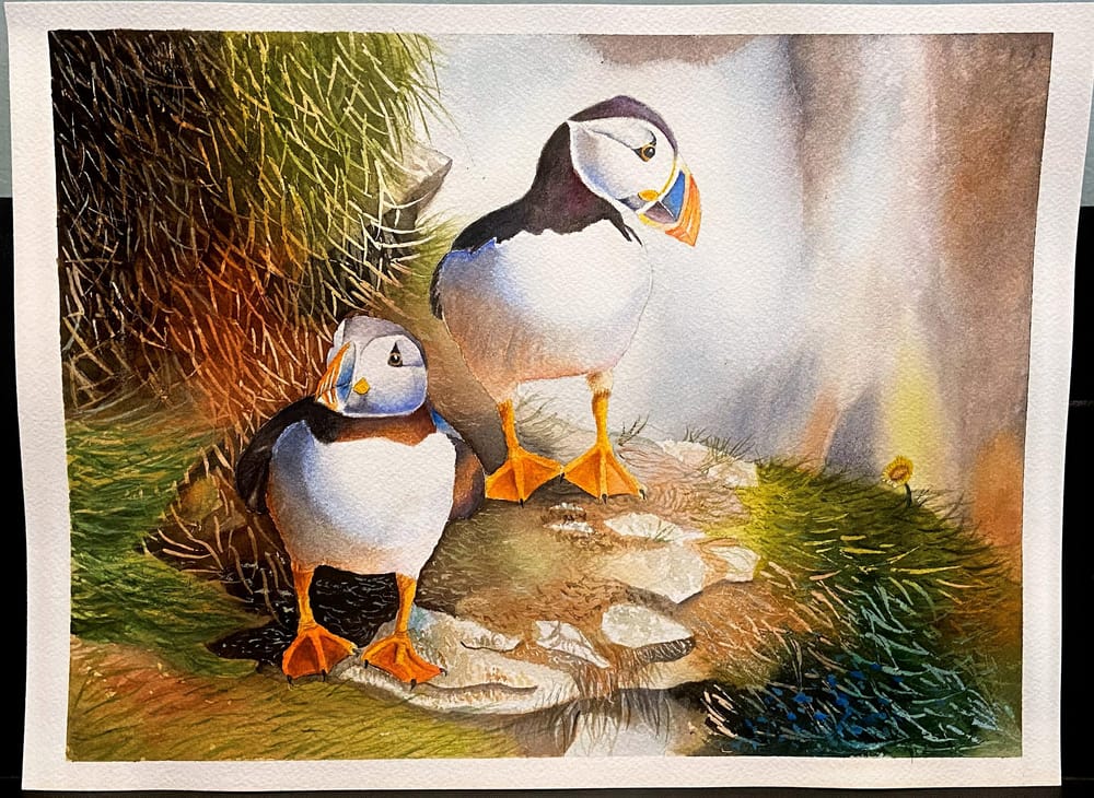 Watercolor Puffins - image 1 - student project
