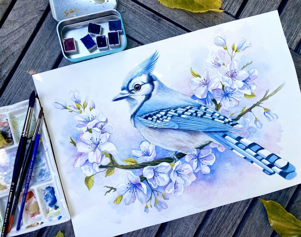 Blue jay - image 1 - student project