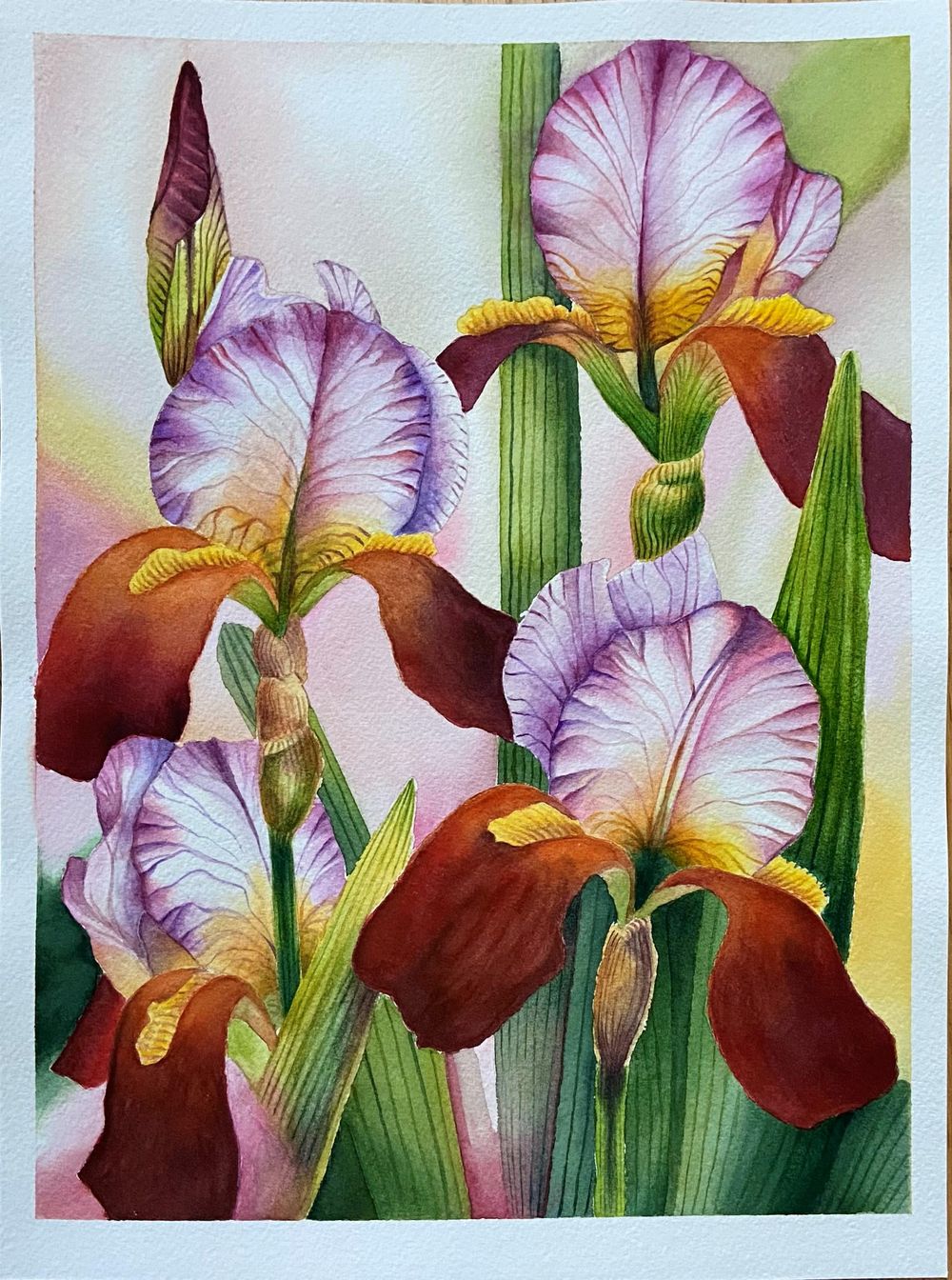 Watercolor Graceful Irises - image 1 - student project