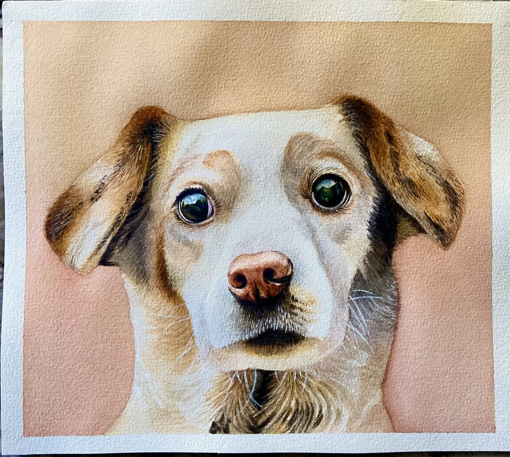 Watercolor dog - image 1 - student project