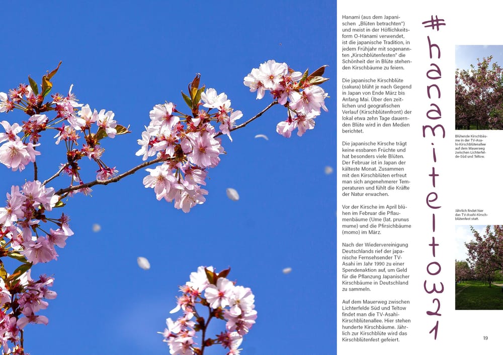 #hanami - image 1 - student project