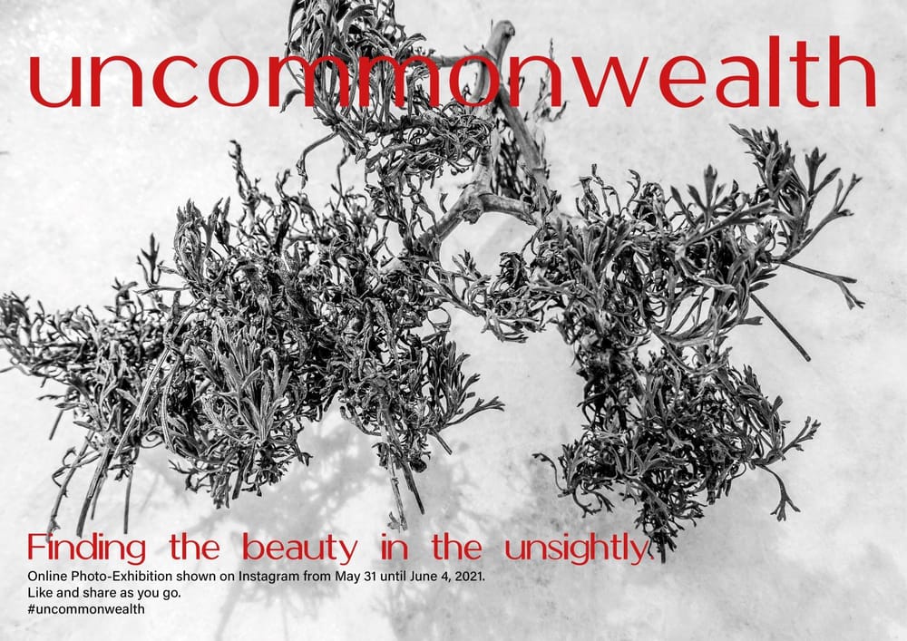 Beauty in the unsightly - image 2 - student project