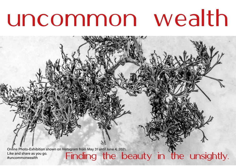 Beauty in the unsightly - image 3 - student project