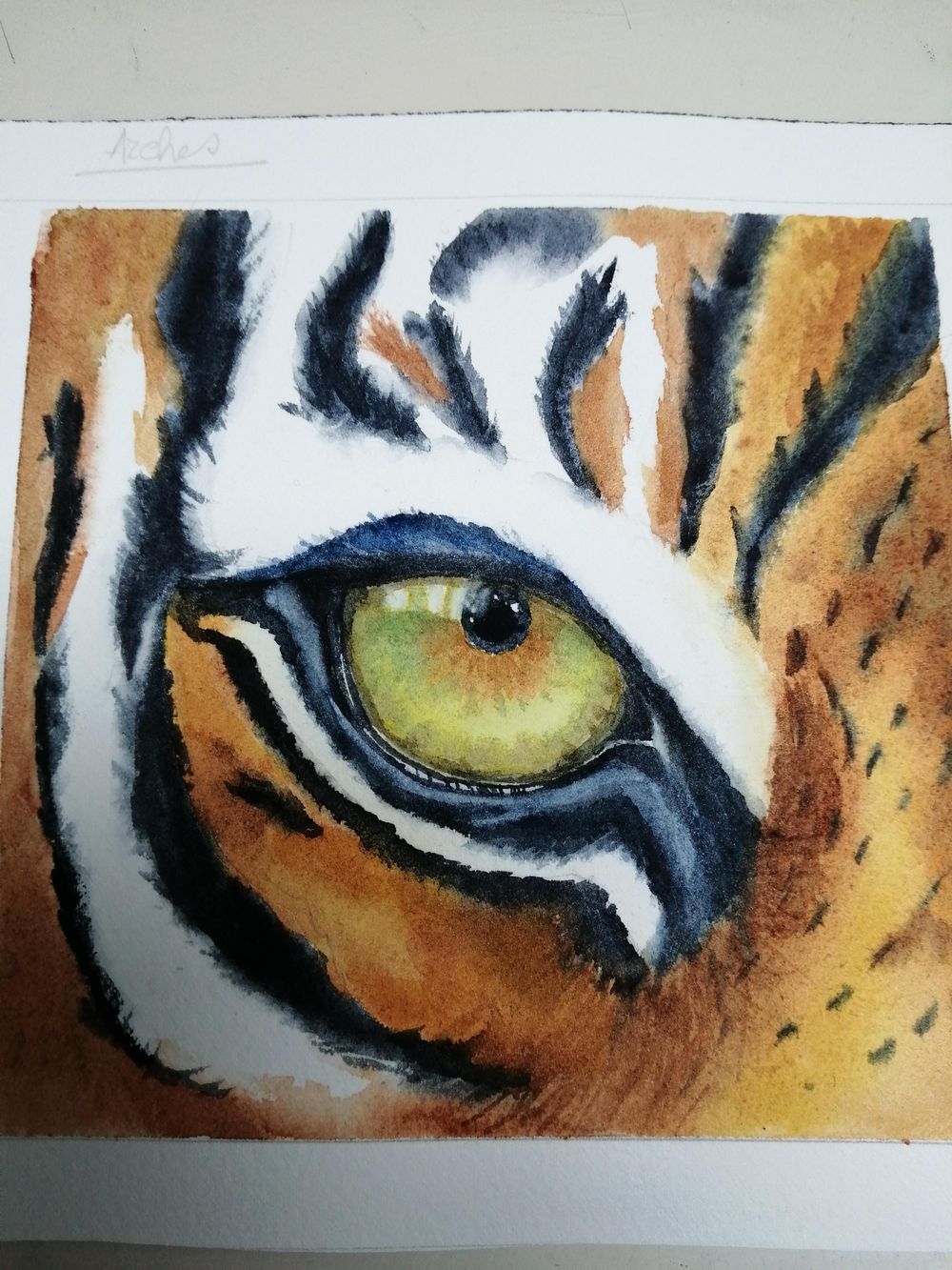 Yeux d'animaux - image 1 - student project