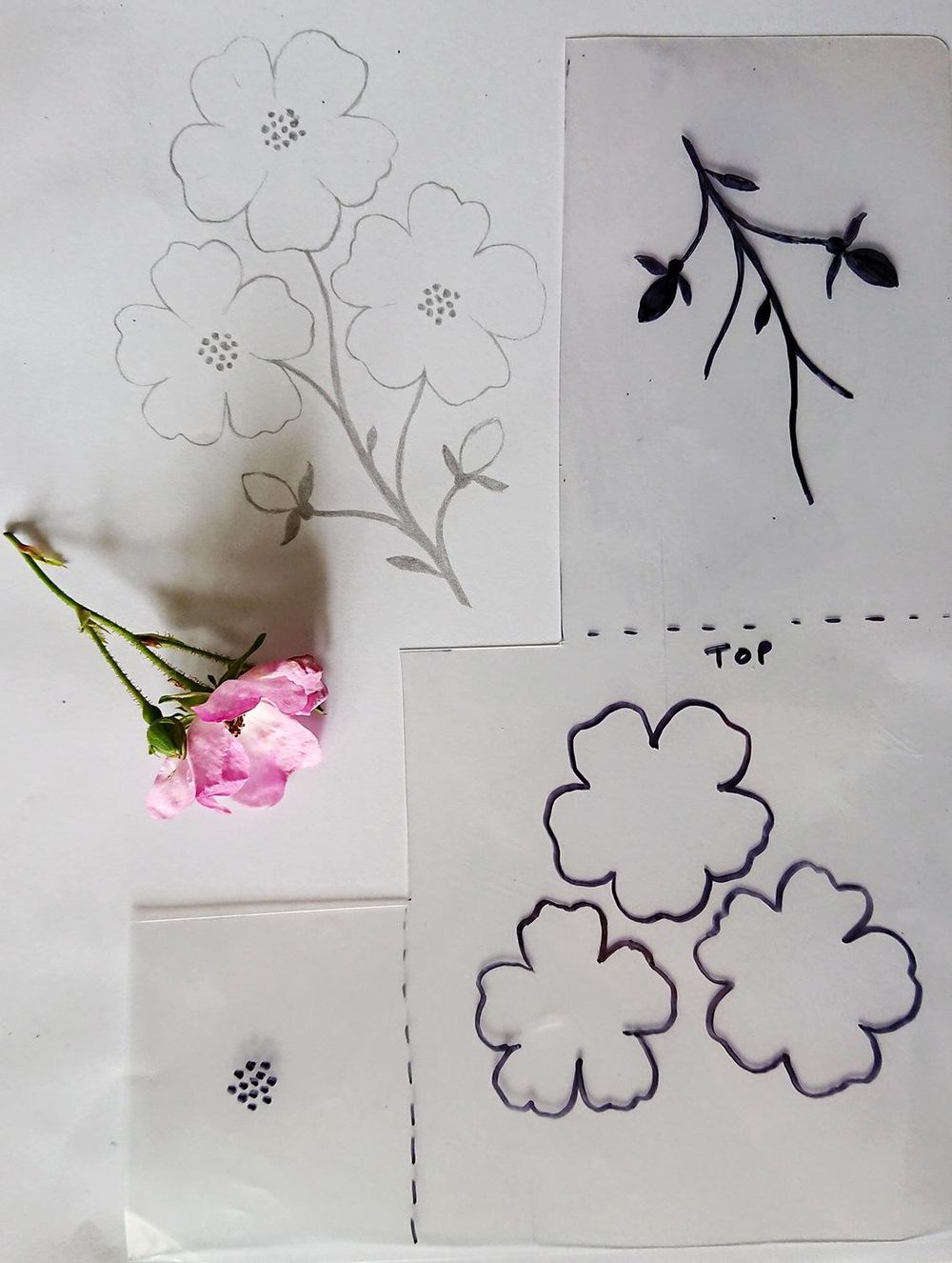 Garden Flowers - image 3 - student project
