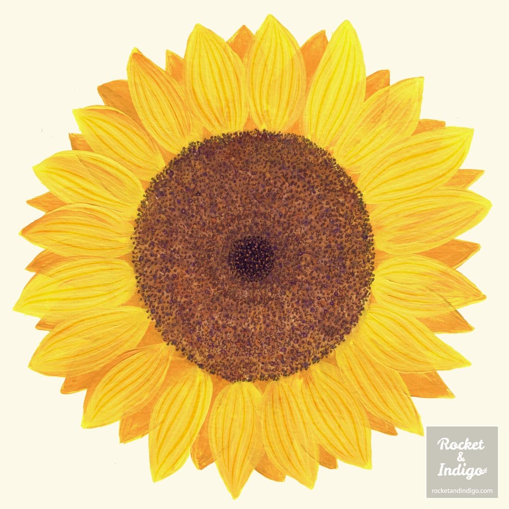 Sunflower - image 5 - student project